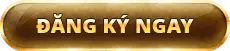Button đăng ký ngay rikvip